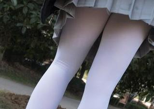 森萝财团 – 小奶糕Milky天台图包，晒的不止是图，还有我这颗八卦的心！