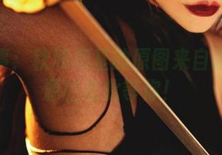 少女心事：秋和柯基的原图来自哪里？资源栏在此等你！